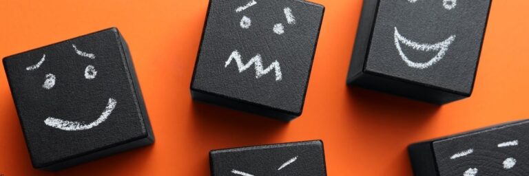 Duygu Düzenleme Becerisi